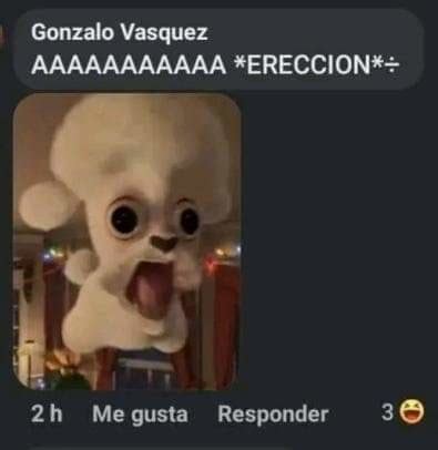 memes de ereccion|Ahhhh *erección* .